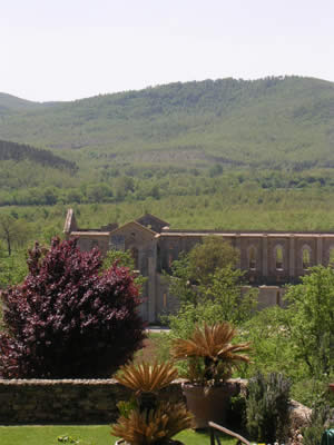 Vista dell'Abbazia di San Galgano